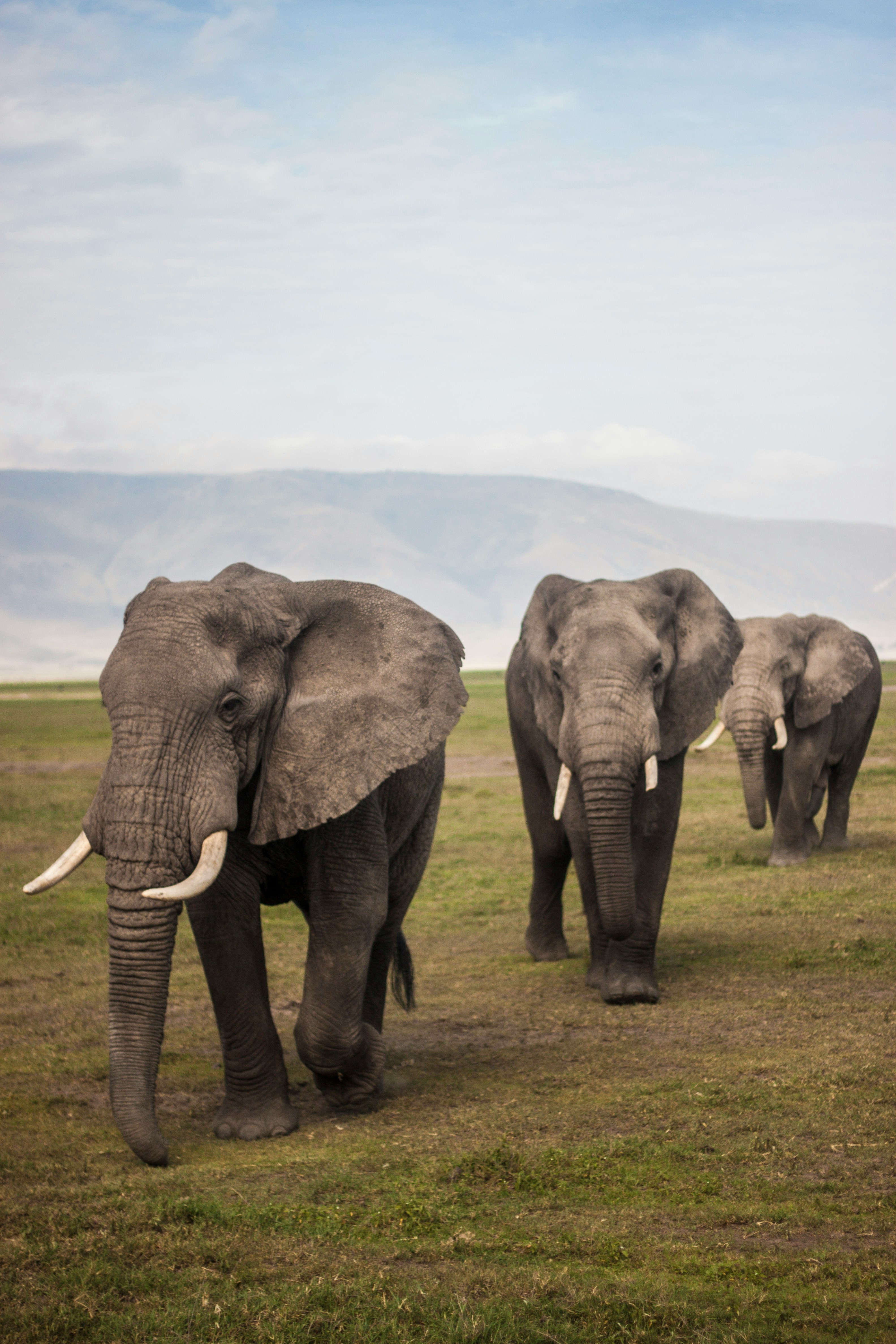 9-days-kilimanjaro-climb-and-safari-package